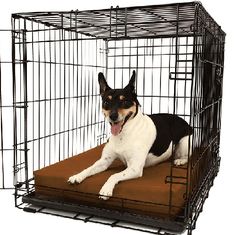 a black and white dog laying in a cage with his tongue hanging out to the side