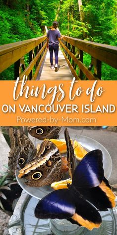 a woman walking across a bridge with butterflies on it and the words things to do on vancouver island