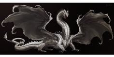 a white dragon sitting on top of a black background with its wings spread wide open