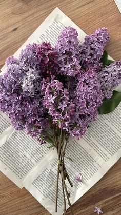 a bunch of purple flowers sitting on top of an open book