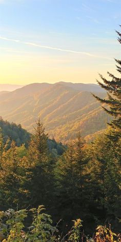 the sun shines on mountains in the distance with trees and bushes around them at sunset