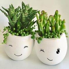 two potted plants with faces drawn on them, one is green and the other is white