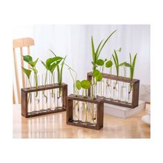 three glass vases filled with plants on top of a wooden table