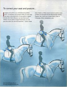 an advertisement for the dressage company shows three horses with their riders in silhouettes