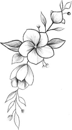 a drawing of flowers on a white background