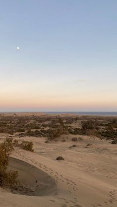 the sun is setting in the distance over some sand dunes and scrubby trees on the horizon