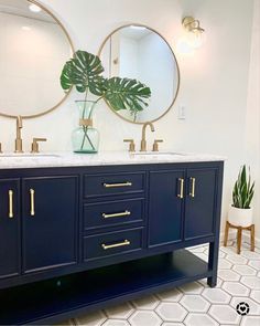 a bathroom with two sinks, mirrors and a plant in the middle of the room