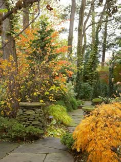 a stone path in the middle of a garden surrounded by trees and shrubs with yellow foliage