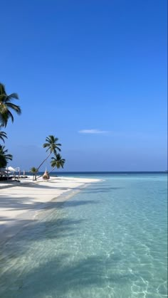 palm trees line the beach in front of clear blue water and white sand on an island