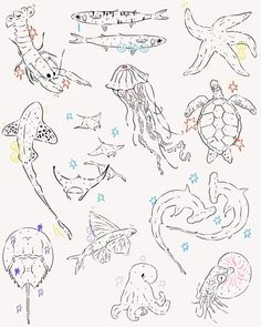 an image of sea animals drawn on paper