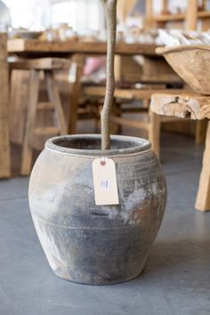 a potted plant with a tag on it in a room full of wooden tables