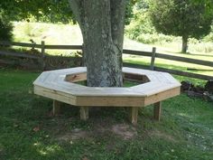 a wooden bench under a tree in the grass