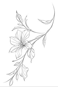 a line drawing of flowers on a branch with leaves in the middle and one flower at the top