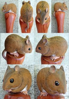 several pictures of a mouse on top of a piece of wood with multiple images of the same rodent