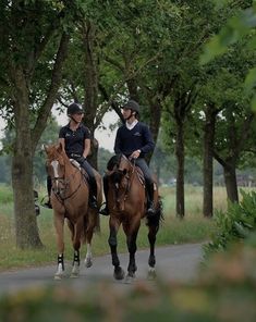 two people riding horses down a road in the middle of some grass and trees on both sides