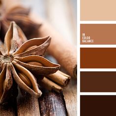 the color palette is brown and has an image of cinnamons, cloves, and star anise