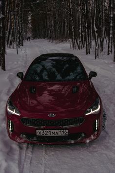 a red car is parked in the snow near some trees and bushes with no leaves on it