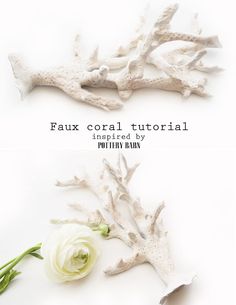 two different types of fake corals with flowers on them and the words faux coral tutor