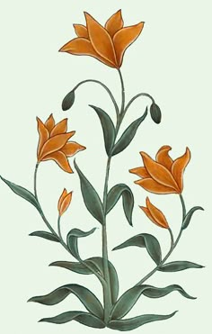 an orange flower with green leaves on a white background in watercolor and pen and ink