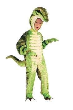 a little boy in a green dinosaur costume