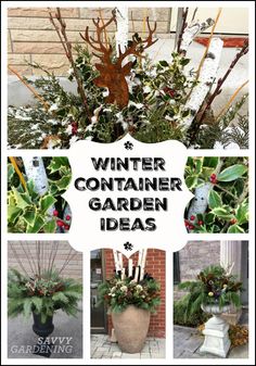 winter container garden ideas with plants and flowers