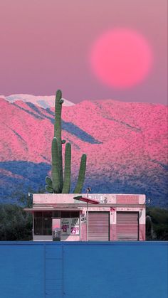 a large cactus sitting on the side of a building next to a pink sky with mountains in the background