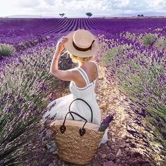 a woman in a white dress and straw hat is sitting on a lavender field with her back to the camera