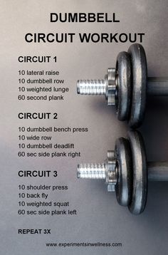 the dumbbell circuit workout is shown with instructions