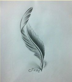 a pencil drawing of a feather with the word june written below it on a sheet of paper