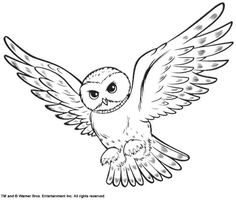 an owl flying with its wings spread