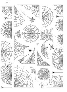 spider webs are shown in black and white, with the numbers four to five below them