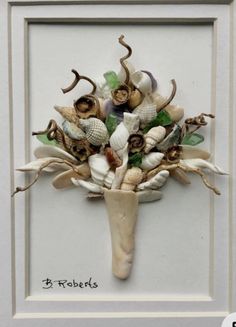 an arrangement of seashells and sea shells in a white frame