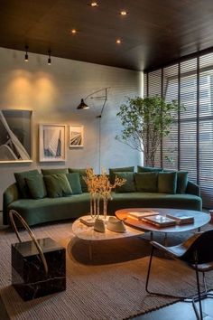 a living room filled with furniture and a plant in the middle of the room on top of a coffee table