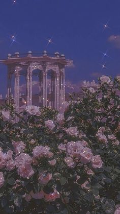 pink flowers are blooming in front of an ornate structure at night with stars above