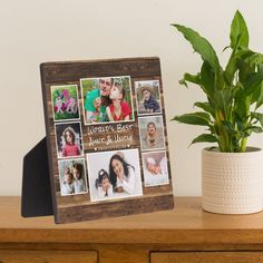 a wooden frame with photos on it next to a potted plant