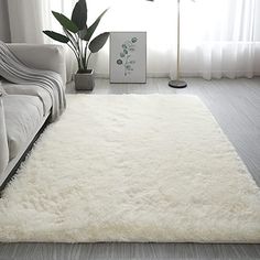 a living room with a white rug on the floor