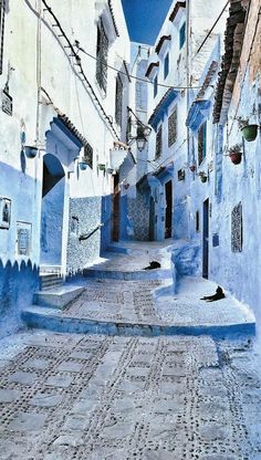 an alley way with blue buildings and cobblestones