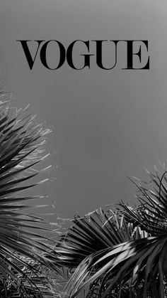 black and white photograph of palm trees with the word voque