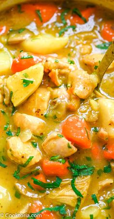 a close up of a bowl of soup with chicken and veggies in it