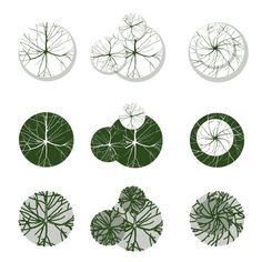 an image of different plants in the shape of circles