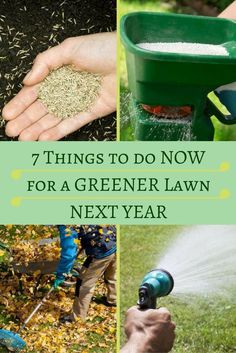 several different pictures with the words 7 things to do now for a greener lawn next year