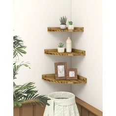 three wooden shelves with plants and pictures on them in a corner next to a potted plant