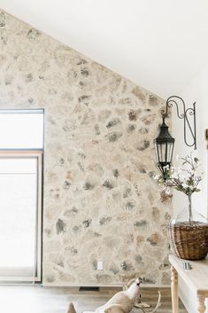 a dog is sitting on the floor in front of a wall with a stone pattern