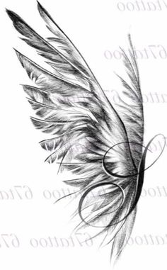 a black and white drawing of a bird's wing with the word tattoo on it