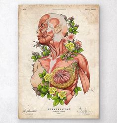 an old - fashioned medical poster with the muscles and flowers on it's chest