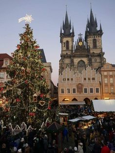 a large christmas tree in front of an old building with lots of people around it