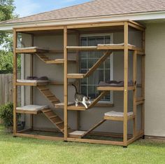 a cat sitting on top of a wooden shelf in front of a house