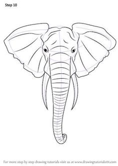 an elephant's head is shown in this step - by - step drawing