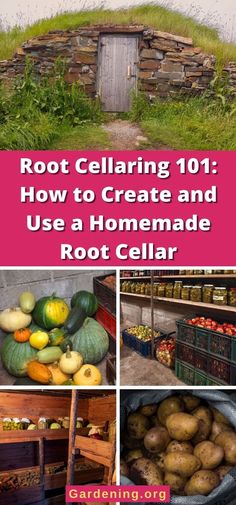 the cover of root cellars 101 how to create and use a homemade root cellar