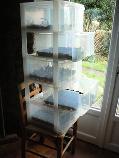 a stack of plastic containers sitting on top of a wooden chair next to a window